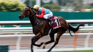 【チェアマンズスプリントプライズ】カーインライジングが12連勝…サトノレーヴは2着