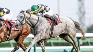 【香港・チャンピオンズM】日本のガイアフォースは9着 レッドライオンが接戦を制しG1初V