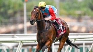 【香港・チェアマンズSP結果】カーインライジングが12連勝達成！ 日本のサトノレーヴが2着