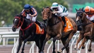 【チャンピオンズマイル】伏兵レッドライオンが逃げ切る…ヴォイッジバブルは2着