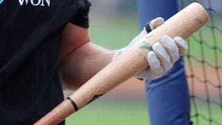 日本球界で広まる「逸品」は何が違うのか　魚雷バットを手に大打者・落合博満が説いた“打の本質”「バッターにはタイプがある」
