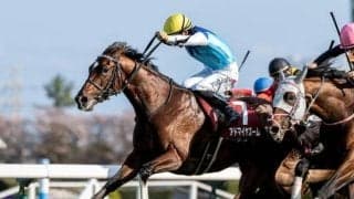 【NHKマイルC】アドマイヤズーム、ランスオブカオスらが登録