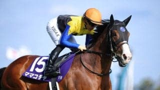 【京王杯SC登録馬】ママコチャなど13頭