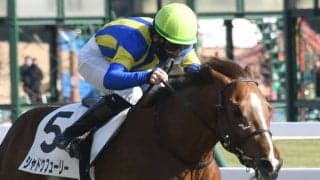 【京王杯SC見どころ】シャドウフューリーが重賞初制覇を狙う