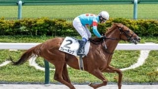 【ユニコーンS見どころ】クレーキングの連勝に期待