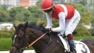 【天皇賞(春)見どころ】成長一途のショウナンラプンタがGI初制覇を狙う