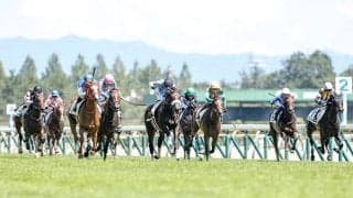 いよいよ春の新潟開催がスタート 注目したい騎手は？