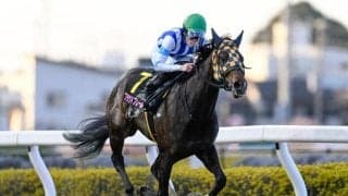 【大井・東京プリンセス賞枠順】重賞3連勝中のプラウドフレールは7枠13番