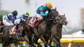 【青葉賞】売上は55億4199万3900円で昨年より約7.2億円増加