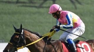 【マイラーズC】売上は45億1685万9100円で昨年より20億円以上の減少