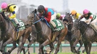 【先週のJRA抹消馬】23年フラワーC覇者エミュー、マイル路線で活躍のディオなど