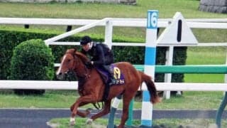 期待の若駒が育成調教の成果を披露 中山競馬場でJRAブリーズアップセールの騎乗供覧が実施される