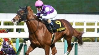 【AI予想・天皇賞(春)】前走で格の高いレースを経験していることが重要!? 長距離適性を十分に感じる人工知能の本命候補