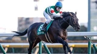 【天皇賞(春)想定騎手】ヘデントールはD.レーン騎手、サンライズアースは池添謙一騎手