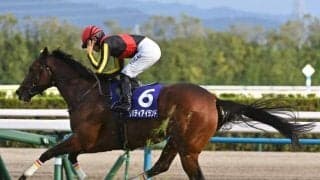 リバティアイランドの献花台を設置 ノーザンホースパークが発表