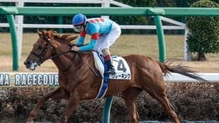 【ユニコーンS想定騎手】クレーキングはD.レーン騎手、メイショウズイウンは武豊騎手