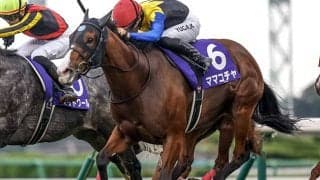 【京王杯SC想定騎手】ママコチャは川田将雅騎手、トウシンマカオは横山武史騎手