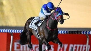 【ケンタッキーダービー枠順】UAEダービー覇者アドマイヤデイトナは6番ゲート、4連勝中のルクソールカフェは7番ゲート