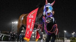 ゴールデンウィークは“競馬三昧” 29日の羽田盃からグレード重賞7つに春の大一番も