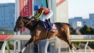 【大井・羽田盃注目馬】重賞6馬身差Vのナチュラルライズvs無傷3連勝のジャナドリア 三冠初戦で注目の初対決