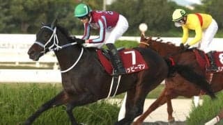 【園田・兵庫CS枠順】兵庫ジュニアGP勝ち馬ハッピーマンは5枠6番