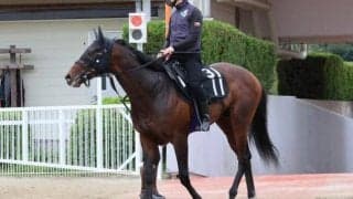 エンダードラゴンなど、先週の入厩情報/栗東トレセンニュース