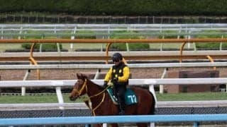 フルムーンなど、先週のゲート試験/栗東トレセンニュース