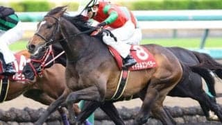 丹内祐次騎手がGI初制覇へ 天皇賞(春)で日経賞覇者とタッグ