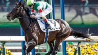 【天皇賞(春)予想オッズ】ヘデントールが予想1番人気