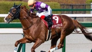 レイデオロ産駒のGI初制覇なるか 阪神大賞典覇者が天皇賞(春)にチャレンジ