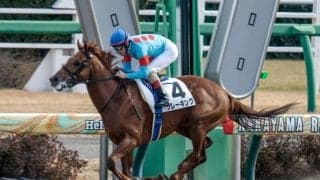 【ユニコーンS予想オッズ】クレーキングが予想1番人気