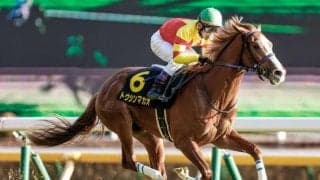 【京王杯SC予想オッズ】トウシンマカオが予想1番人気