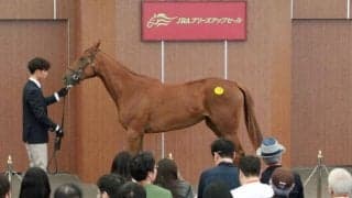 中山競馬場で2025年JRAブリーズアップセール開催 最高額はナダル牝駒で5400万円