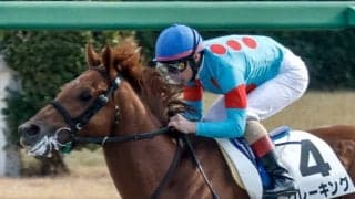 【ユニコーンS展望】ダートの登竜門、勢いと先行力を重視したい