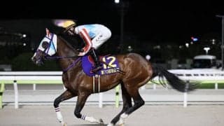 【羽田盃】祝日開催で売得金は前年比157.2%と盛況…ナチュラルライズが圧勝