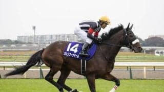 カレンブーケドールが唯一の馬券圏内 グレード制導入後の天皇賞(春)に挑んだ牝馬たち