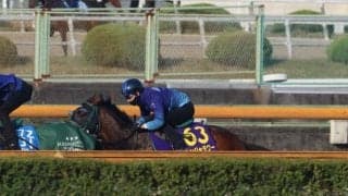 パンジャタワーなど、NHKマイルC1週前追い切り速報/栗東トレセンニュース