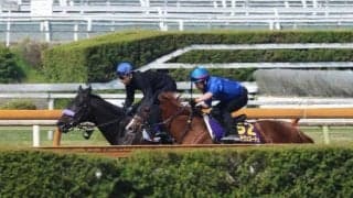 マジックサンズ＆アルテヴェローチェ、NHKマイルC1週前追い切り速報/栗東トレセンニュース