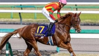 沙・G2覇者が史上初の快挙なるか 天皇賞(春)でGI初制覇狙う