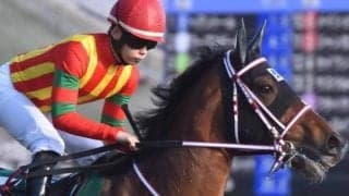 野中悠太郎騎手が3年ぶり2回目のGI参戦 天皇賞(春)で一発狙う