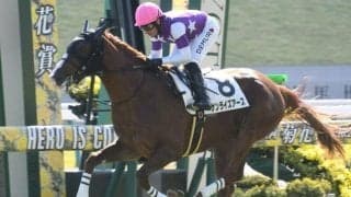 【天皇賞(春)予想】不安要素が見当たらない？ 伝統GIでAIが推奨する馬とは