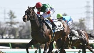 【天皇賞(春)展望】4歳馬ヘデントールが長距離界の頂点へ
