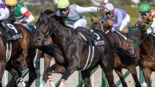 青森産馬の24年ぶりGI制覇なるか 名牝系「期待の星」が天皇賞(春)制覇狙う