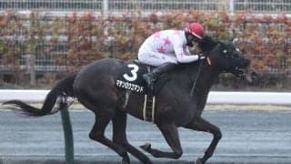 【園田・兵庫CS注目馬】今年もJRA所属馬が上位を占めるか 3歳ダート短距離王の座はどの馬に
