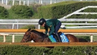 ウィリアムバローズ、かしわ記念追い切り速報/栗東トレセンニュース