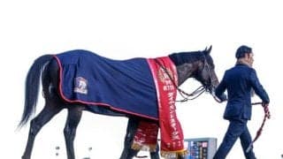 【天皇賞(春)枠順確定】ヘデントールは4枠6番、サンライズアースは3枠5番