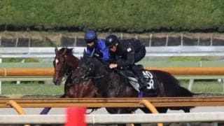 アドマイヤズーム、NHKマイルC1週前追い切り速報/栗東トレセンニュース