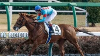 【ユニコーンS出走馬・騎手確定】クレーキング＆D.レーン騎手、メイショウズイウン＆武豊騎手など13頭
