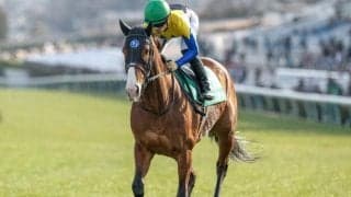 【京王杯SC出走馬・騎手確定】トウシンマカオ＆横山武史騎手、ママコチャ＆川田将雅騎手など12頭