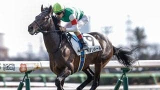 【天皇賞(春)・調教後馬体重】ヘデントールは490kg、サンライズアースは540kg